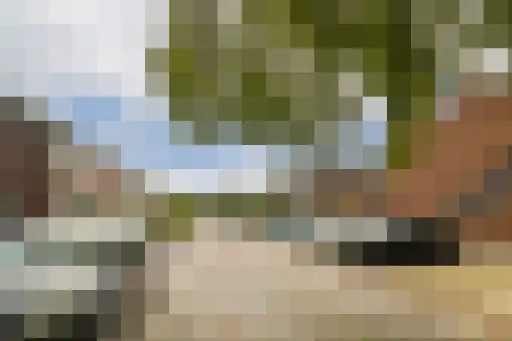Simon van der Stellaan 9 Gouda thumbnail 36
