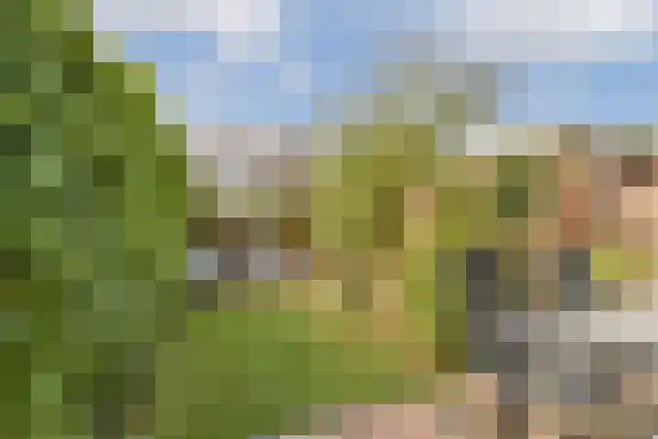 Simon van der Stellaan 9 Gouda thumbnail 4