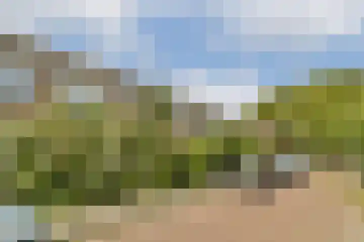 Simon van der Stellaan 9 Gouda thumbnail 5