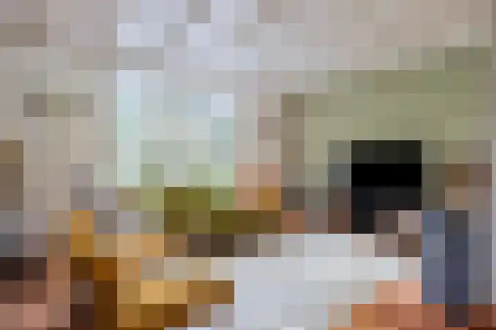 Simon van der Stelstraat 6 Eindhoven thumbnail 13
