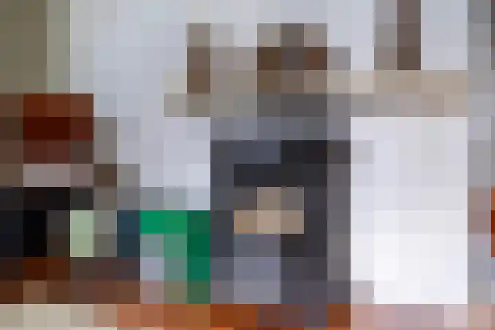Simon van der Stelstraat 6 Eindhoven thumbnail 17