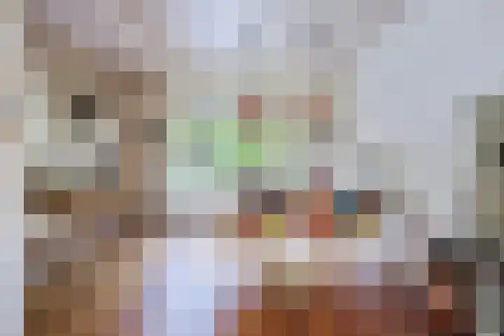 Simon van der Stelstraat 6 Eindhoven thumbnail 18