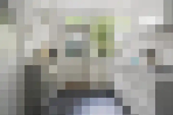 Simon van der Stelstraat 6 Eindhoven thumbnail 23