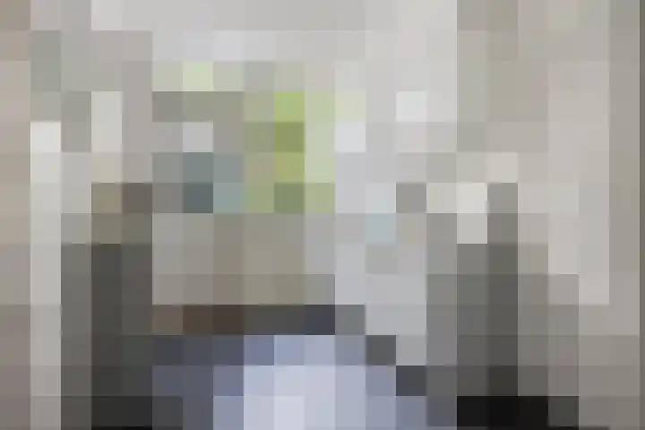 Simon van der Stelstraat 6 Eindhoven thumbnail 24
