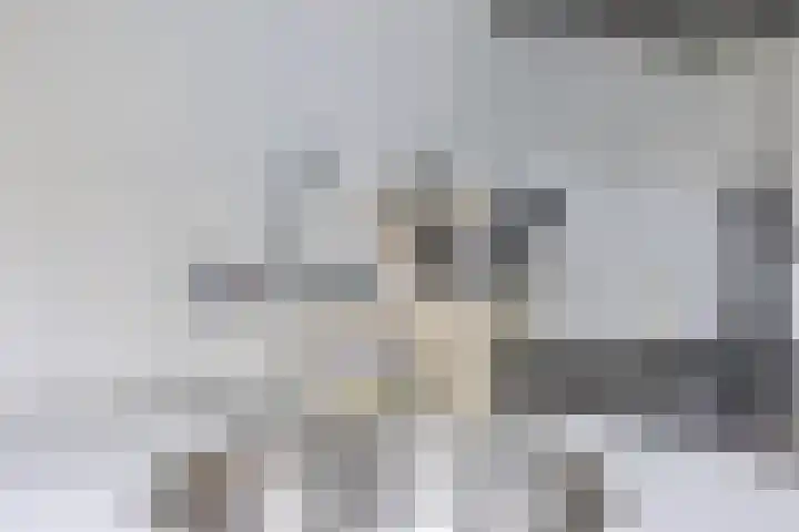 Simon van der Stelstraat 6 Eindhoven thumbnail 25