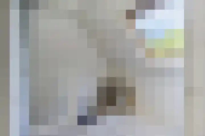Simon van der Stelstraat 6 Eindhoven thumbnail 27