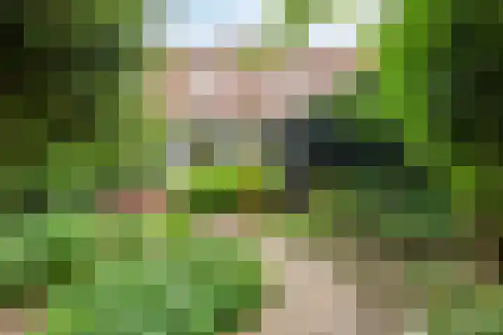 Simon van der Stelstraat 6 Eindhoven thumbnail 48