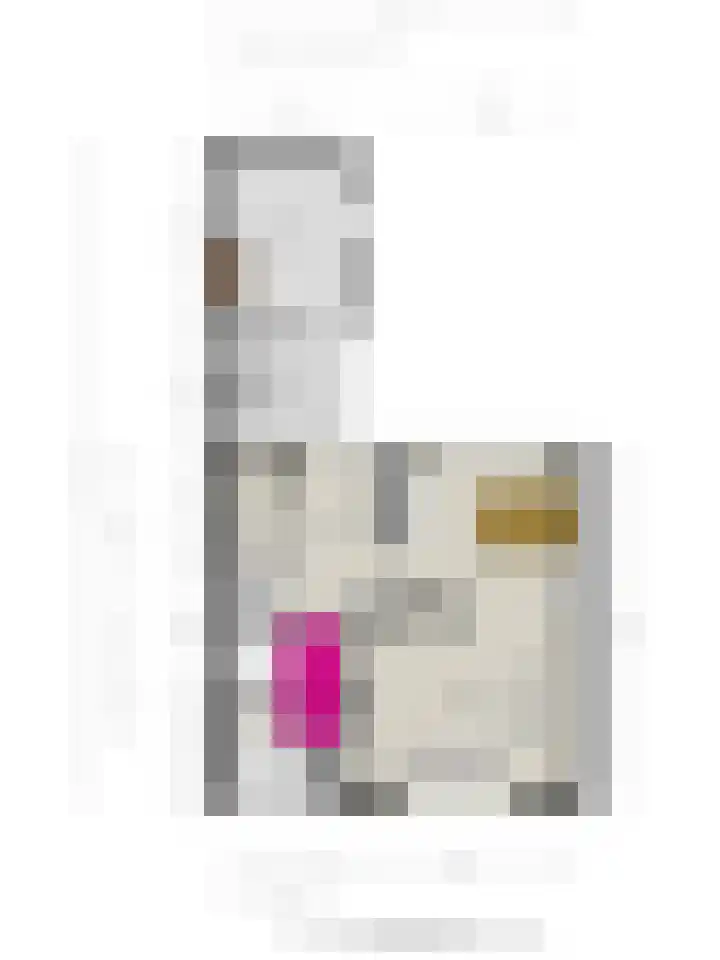 Simon van der Stelstraat 6 Eindhoven thumbnail 51