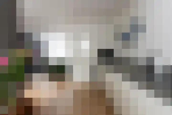Simon van der Stelstraat 8 Tilburg thumbnail 17