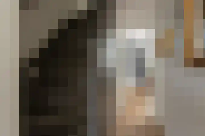 Simon van der Stelstraat 8 Tilburg thumbnail 19