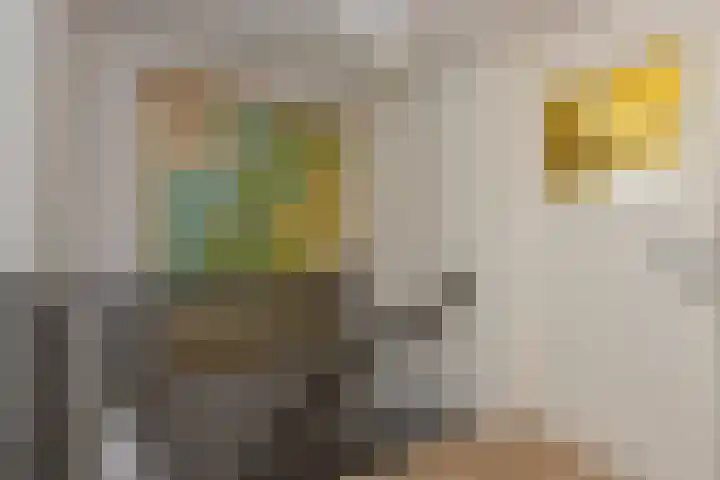 Simon van der Stelstraat 8 Tilburg thumbnail 20