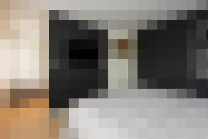 Simon van der Stelstraat 8 Tilburg thumbnail 22