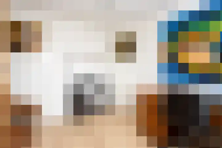 Simon van der Stelstraat 8 Tilburg thumbnail 27