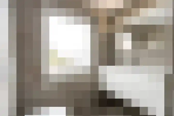 Simon van der Stelstraat 8 Tilburg thumbnail 29