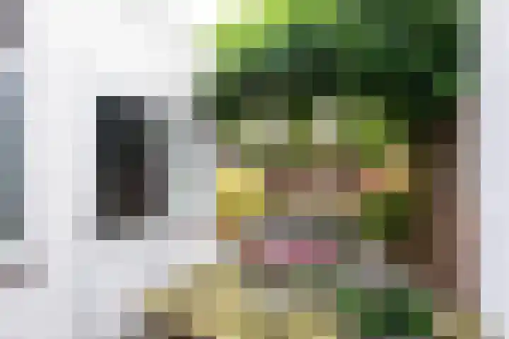 Simon van der Stelstraat 8 Tilburg thumbnail 32