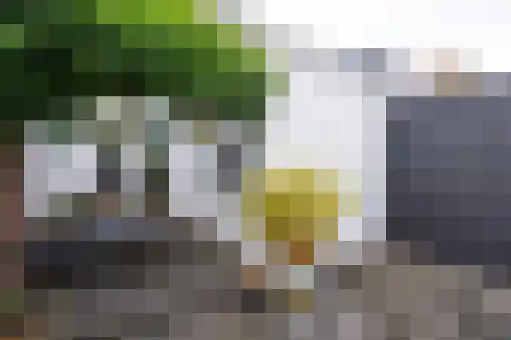 Simon van der Stelstraat 8 Tilburg thumbnail 36