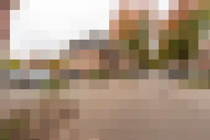 Simon van der Stelstraat 8 Tilburg thumbnail 39
