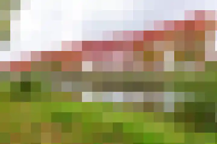 Simon van der Stelstraat 8 Tilburg thumbnail 43