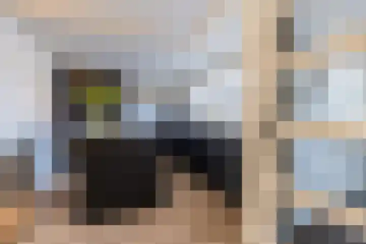 Simon van Haarlemstraat 18 Tiel thumbnail 12