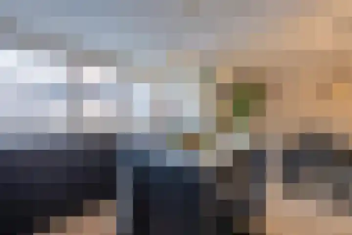 Simon van Haarlemstraat 18 Tiel thumbnail 15