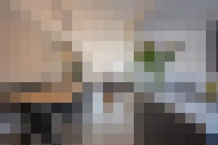 Simon van Haarlemstraat 18 Tiel thumbnail 20