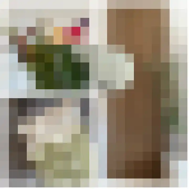 Simon van Haarlemstraat 18 Tiel thumbnail 22