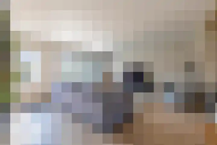Simon van Haarlemstraat 18 Tiel thumbnail 23