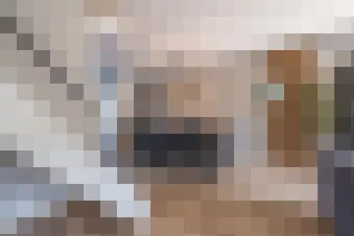 Simon van Haarlemstraat 18 Tiel thumbnail 27