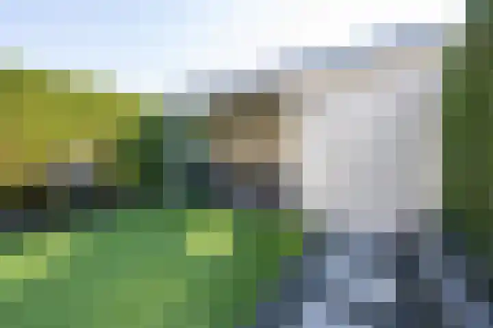 Simon van Haarlemstraat 18 Tiel thumbnail 33