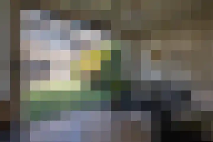 Simon van Haarlemstraat 18 Tiel thumbnail 35