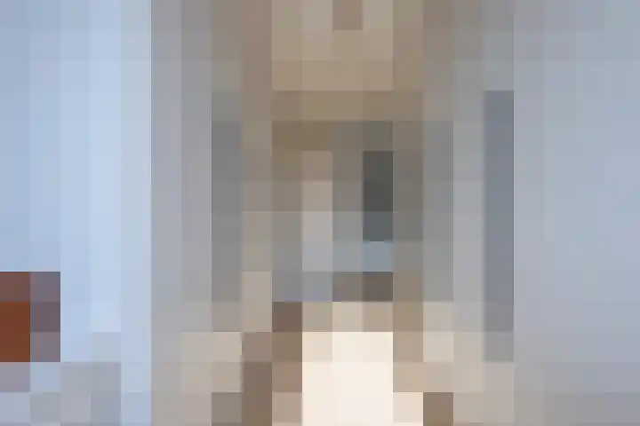 Simon van Haarlemstraat 18 Tiel thumbnail 46