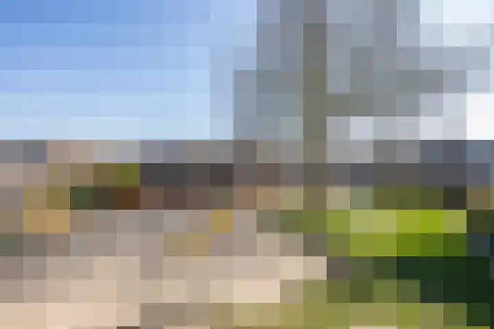 Simon van Haarlemstraat 18 Tiel thumbnail 5