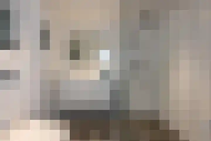 Simon van Haarlemstraat 18 Tiel thumbnail 50