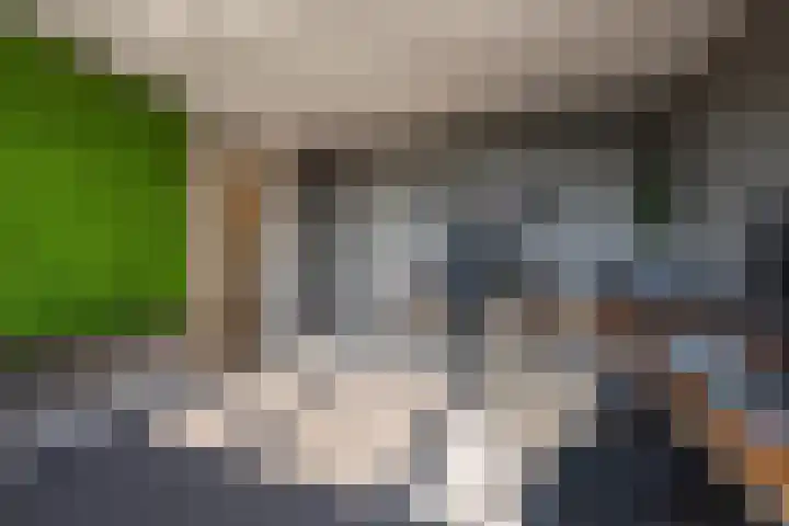 Simon van Haarlemstraat 18 Tiel thumbnail 55
