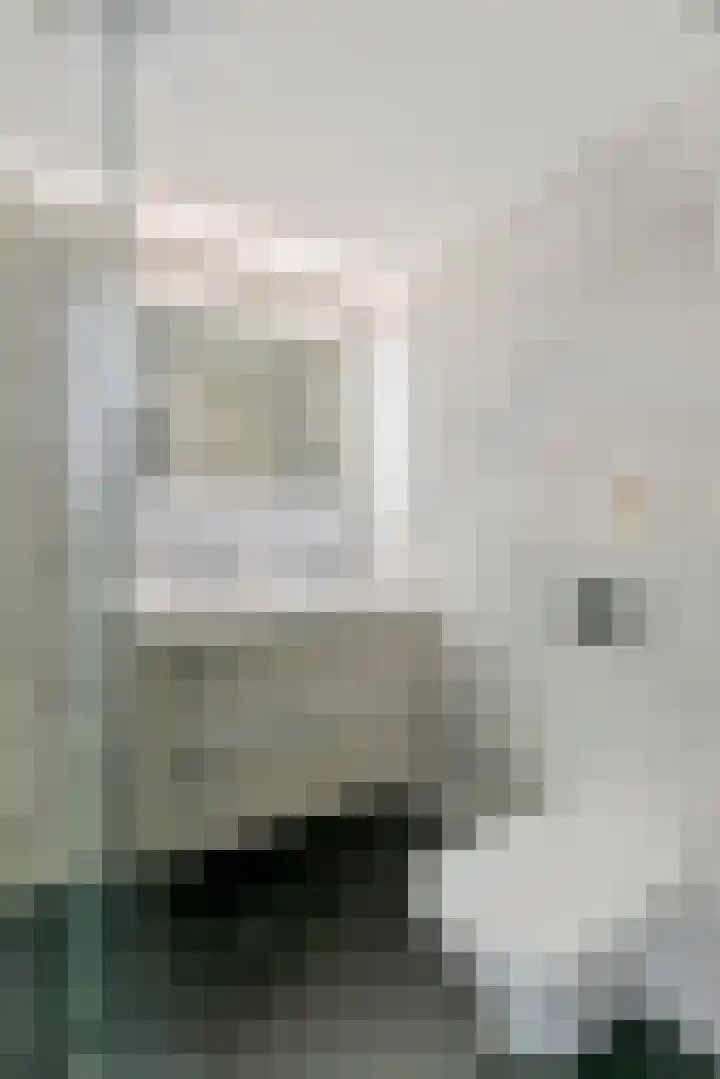 Simon van Haarlemstraat 38 Tiel thumbnail 21