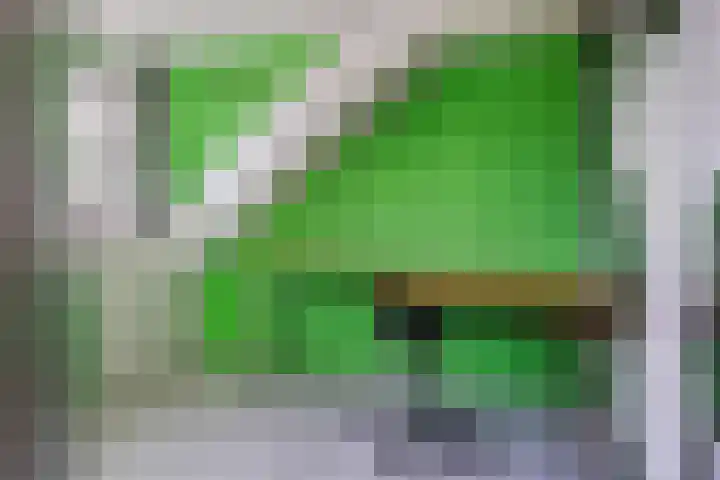 Simon van Haarlemstraat 38 Tiel thumbnail 27