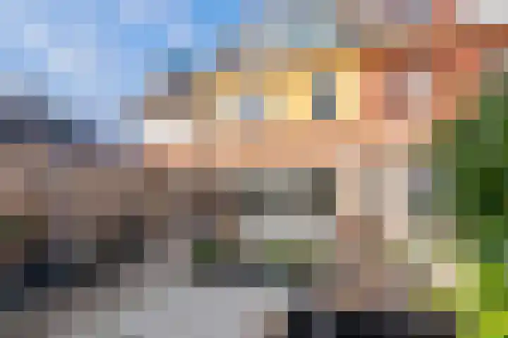 Simon van Haarlemstraat 38 Tiel thumbnail 36