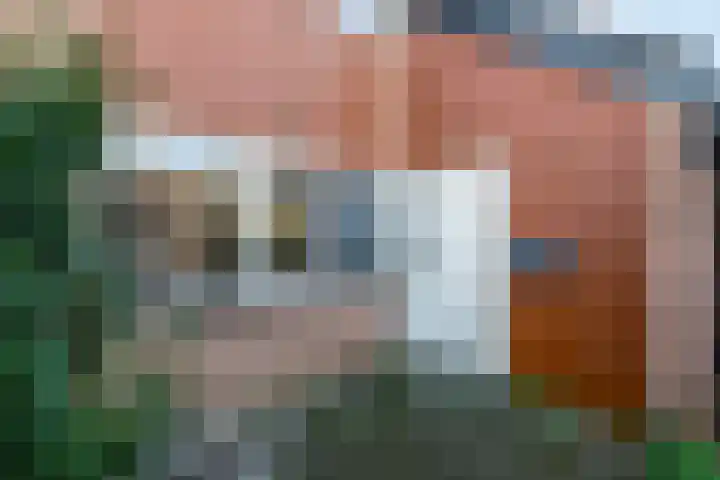 Simon van Haarlemstraat 38 Tiel thumbnail 38
