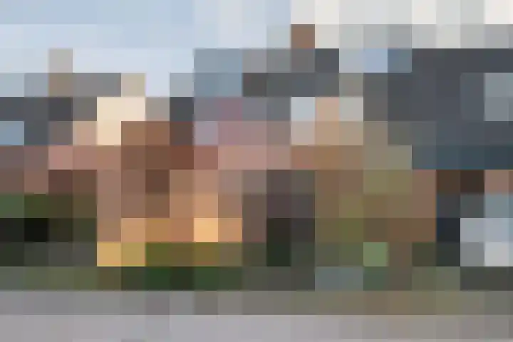 Simon van Haarlemstraat 38 Tiel thumbnail 39