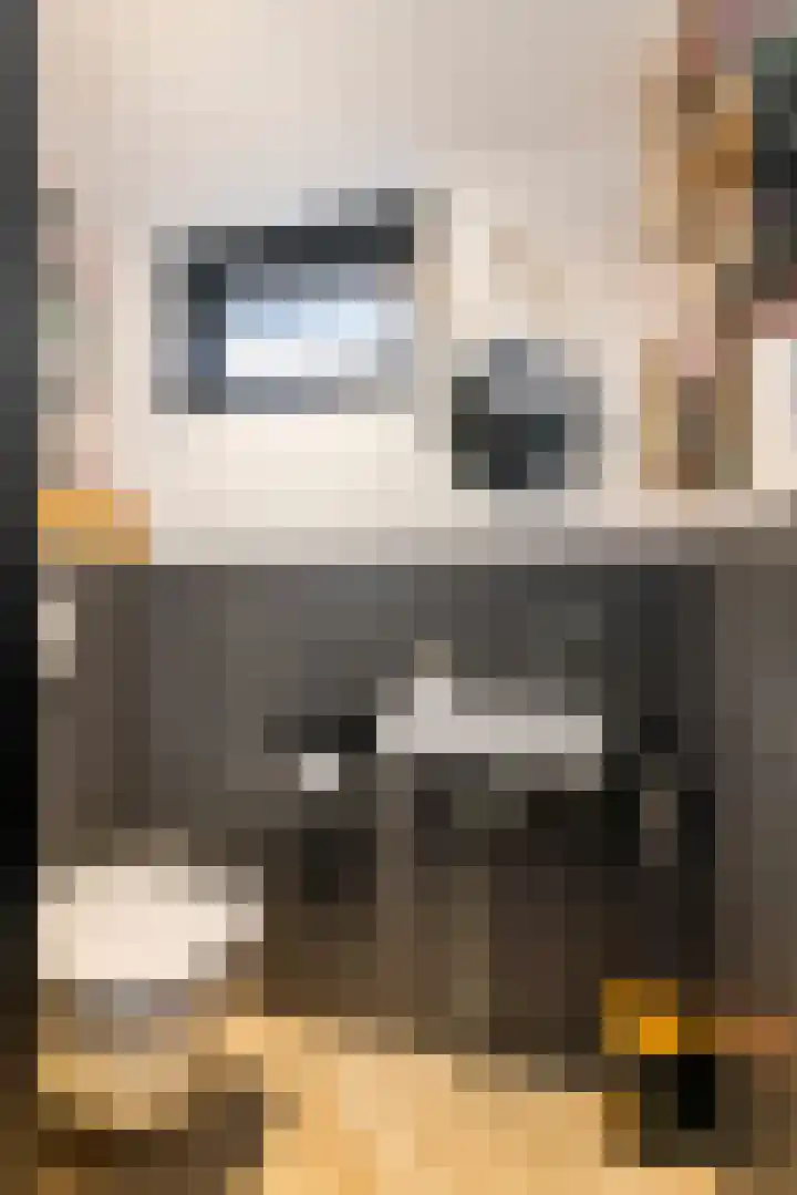 Simon van Haarlemstraat 38 Tiel thumbnail 5