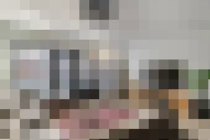 Simon van Haarlemstraat 38 Tiel thumbnail 6