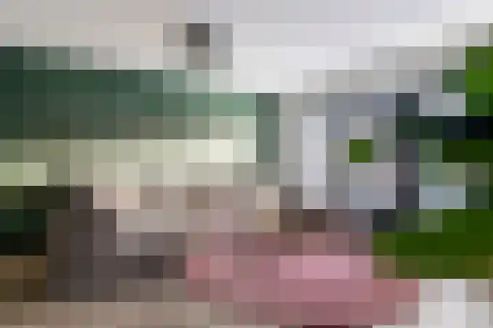 Simon van Haarlemstraat 38 Tiel thumbnail 7