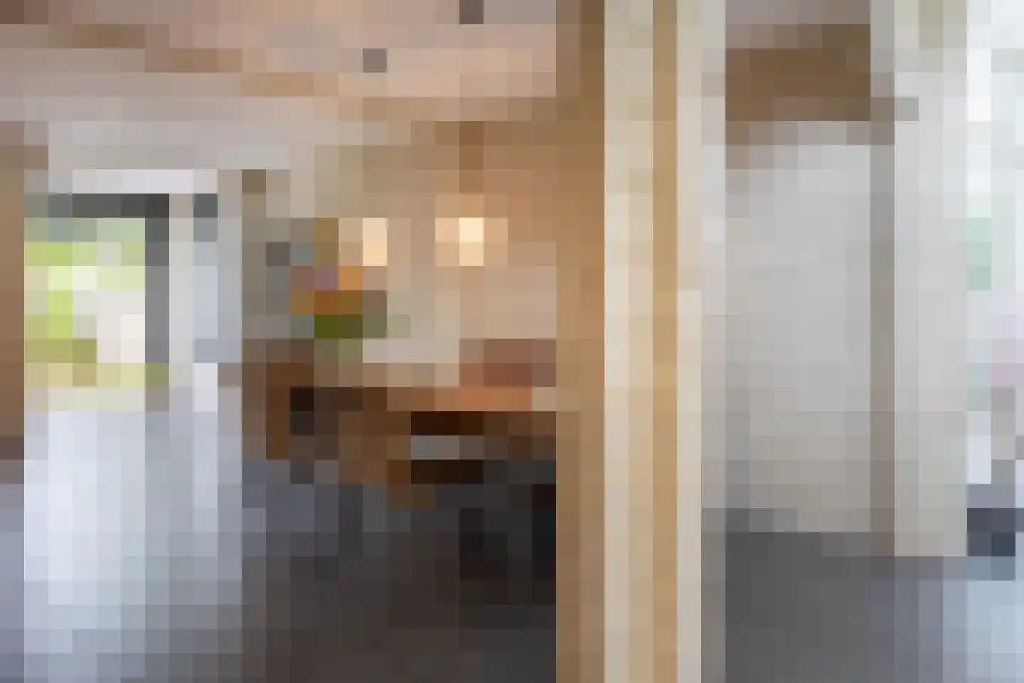 Simon van Hapertlaan 12 Eindhoven thumbnail 11