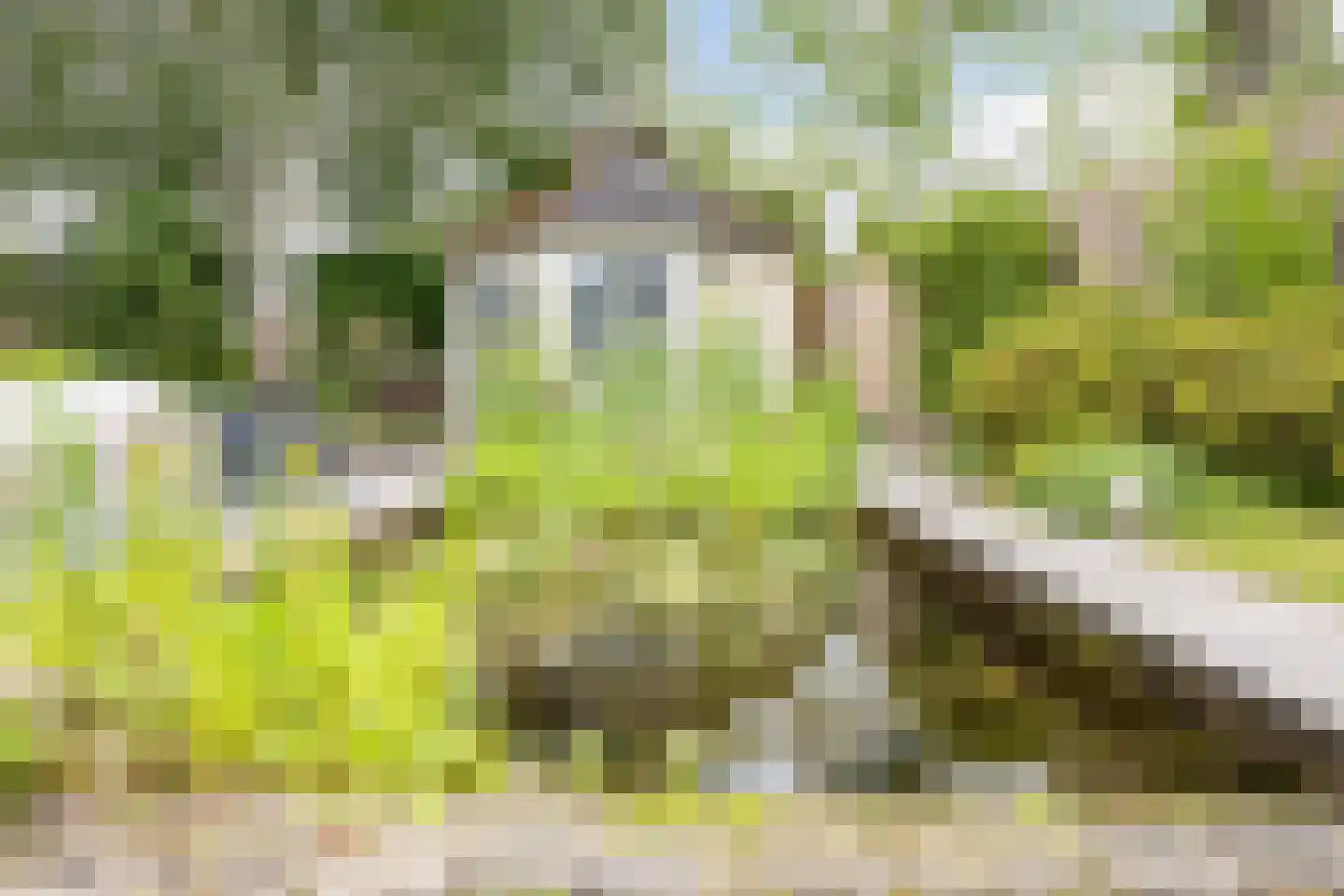 Simon van Hapertlaan 12 Eindhoven thumbnail 42