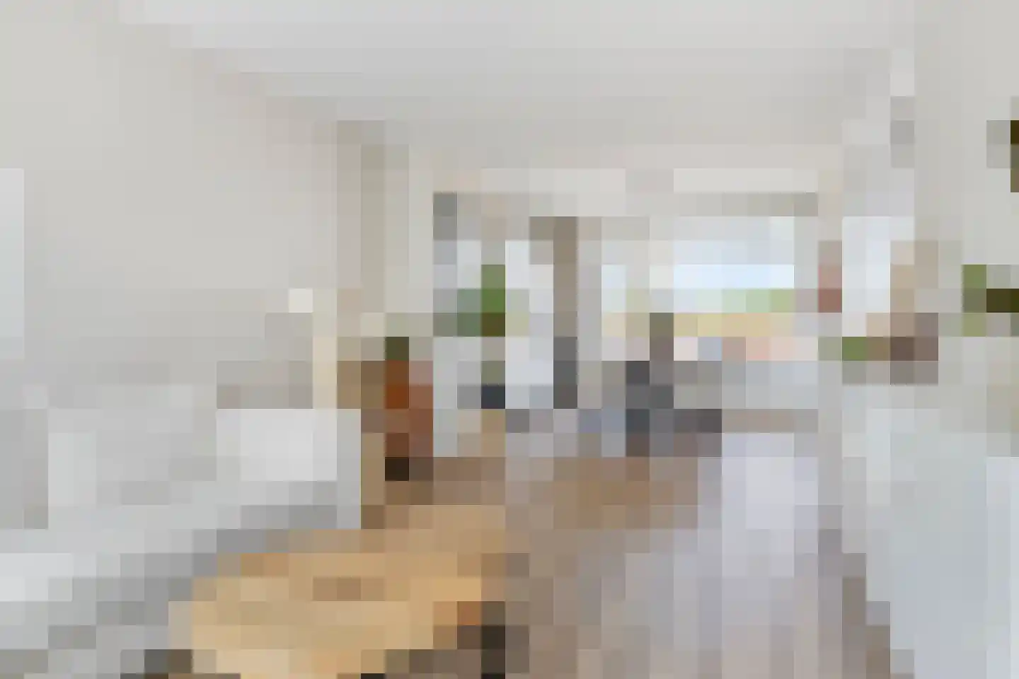 Simon van Leeuwenstraat 10 Eindhoven thumbnail 12