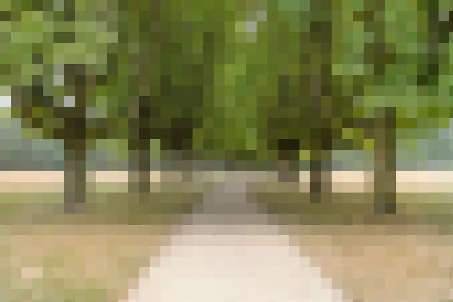 Simon van Leeuwenstraat 10 Eindhoven thumbnail 42