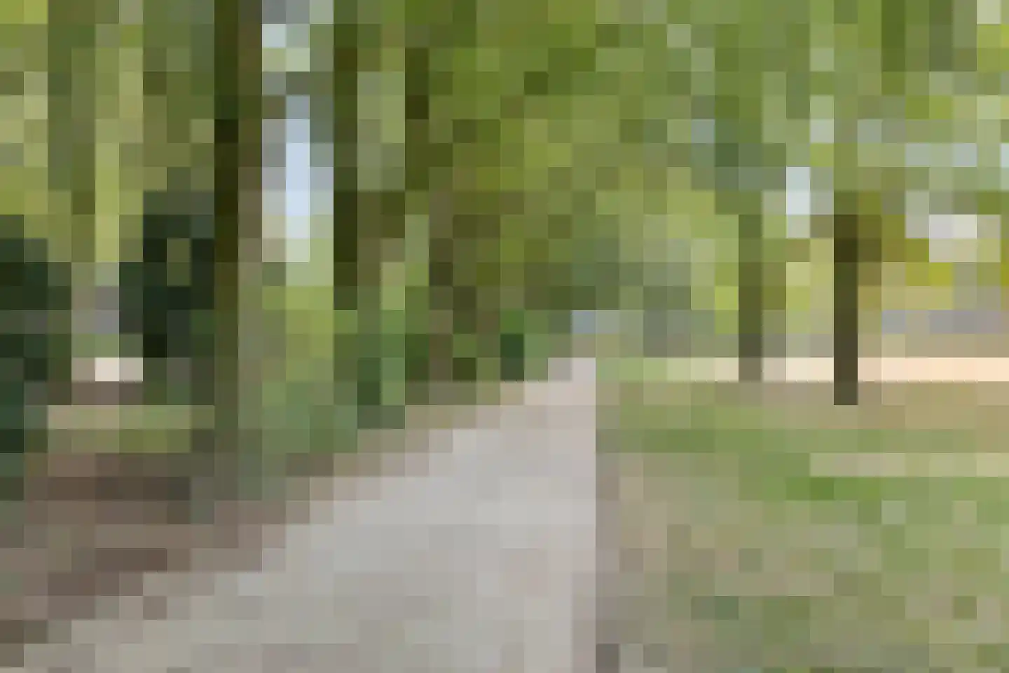 Simon van Leeuwenstraat 10 Eindhoven thumbnail 43