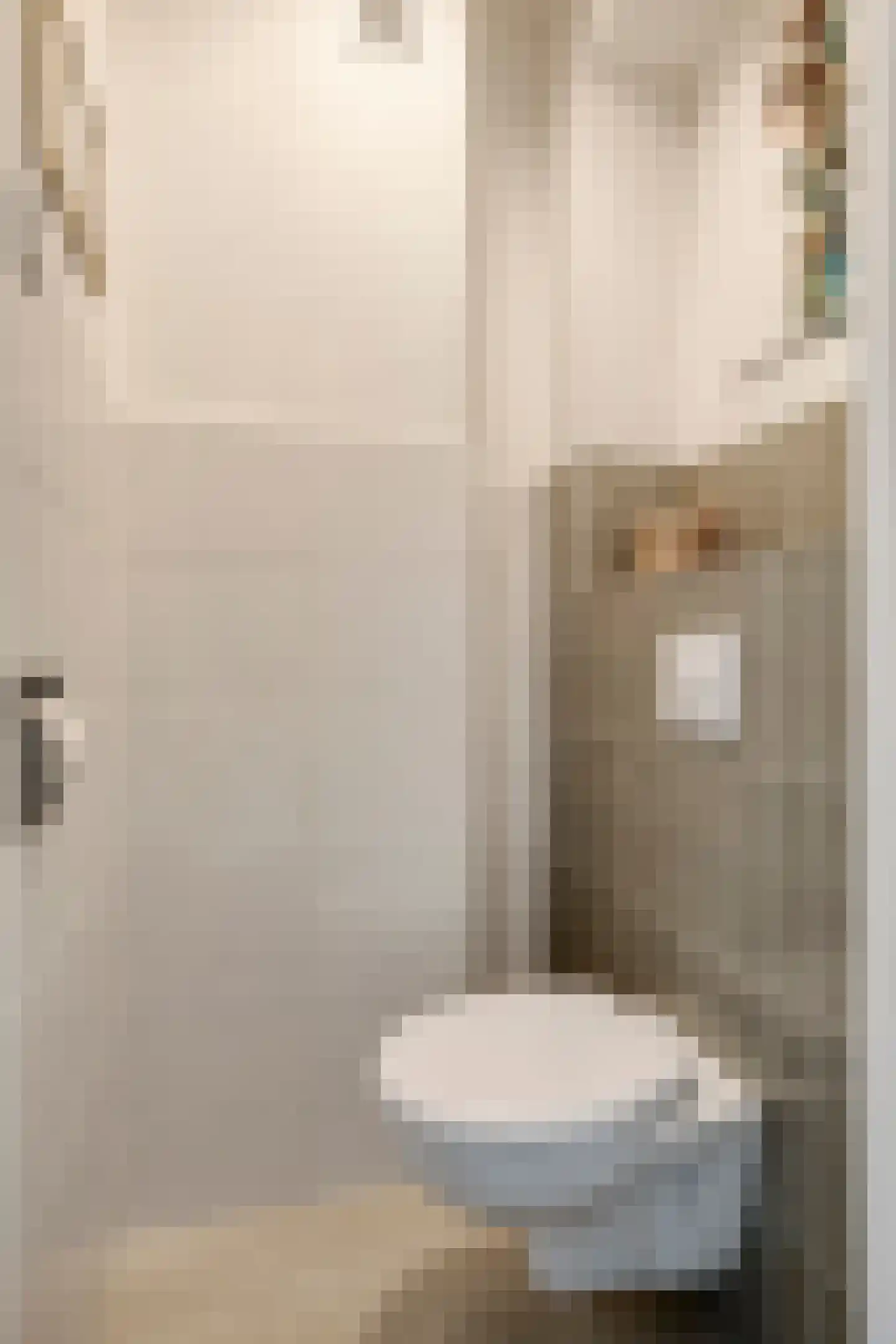 Simon van Leeuwenstraat 10 Eindhoven thumbnail 9