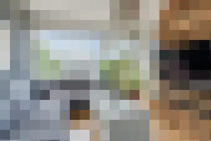Simon van Leeuwenstraat 30 Eindhoven thumbnail 18