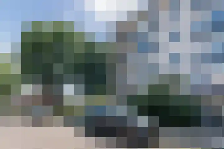 Simon van Leeuwenstraat 30 Eindhoven thumbnail 32